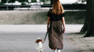 Vibo, multe fino a mille euro per chi non pulisce dove il proprio cane sporca: la stretta del Comune