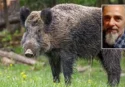 Ucciso dal cinghiale che aveva catturato con una trappola messa a difesa del suo orto: dramma in Calabria