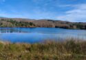 Dal lago Metramo al bagno nella foresta: l’escursione di Vivi Serra San Bruno tra storia, natura e… ingegneria