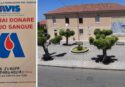 La donazione è un atto d’amore: l’Avis di Tropea a Parghelia per una giornata all’insegna dell’altruismo