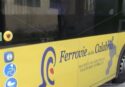 Vibo, l’autobus cittadino che gira a vuoto da anni senza orari né indicazioni sul percorso. Il sindaco Romeo: «Spreco assurdo» – VIDEO