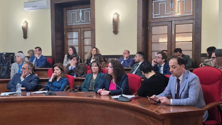 Consiglio comunale di Vibo, Console e il nuovo gruppo rendono incerti i confini della maggioranza. E nel Pd scatta la (solita) faida