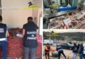 Pesca di frodo, sequestrate 5 tonnellate di prodotti e multe per 81mila euro: il bilancio della Gdf di Vibo