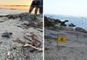 Tropea diventa “Comune amico delle tartarughe marine” grazie all’intesa con Legambiente per la tutela dei siti di nidificazione