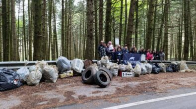 Serra San Bruno, i volontari di Plastic free rimuovono 2 tonnellate di spazzatura: «Ora la nostra montagna respira»
