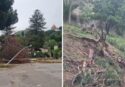 Maltempo a Tropea, le forti raffiche di vento sradicano tre alberi. Divento anche un lampione